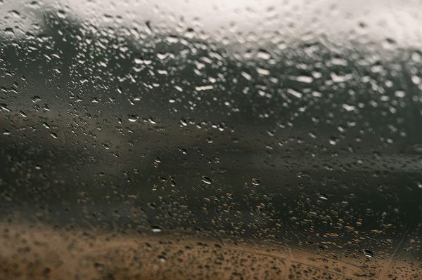 What are the dangers of damp in a car ?